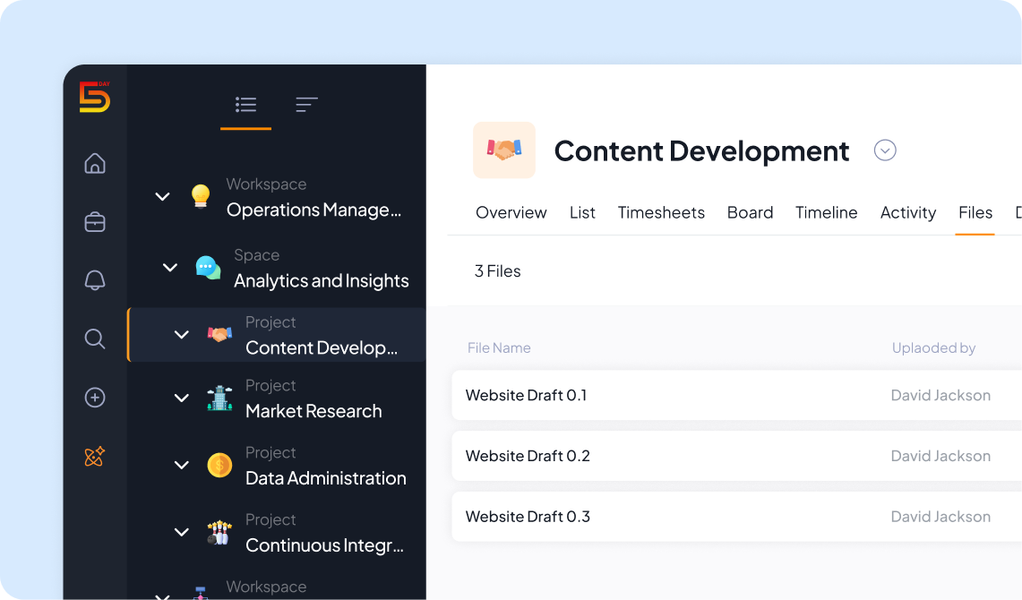 Project view in 5day.io