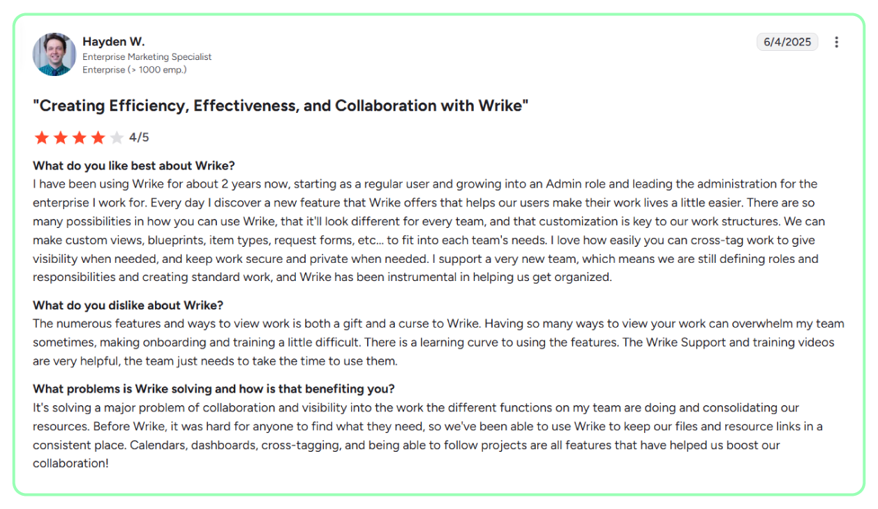 Wrike review 1