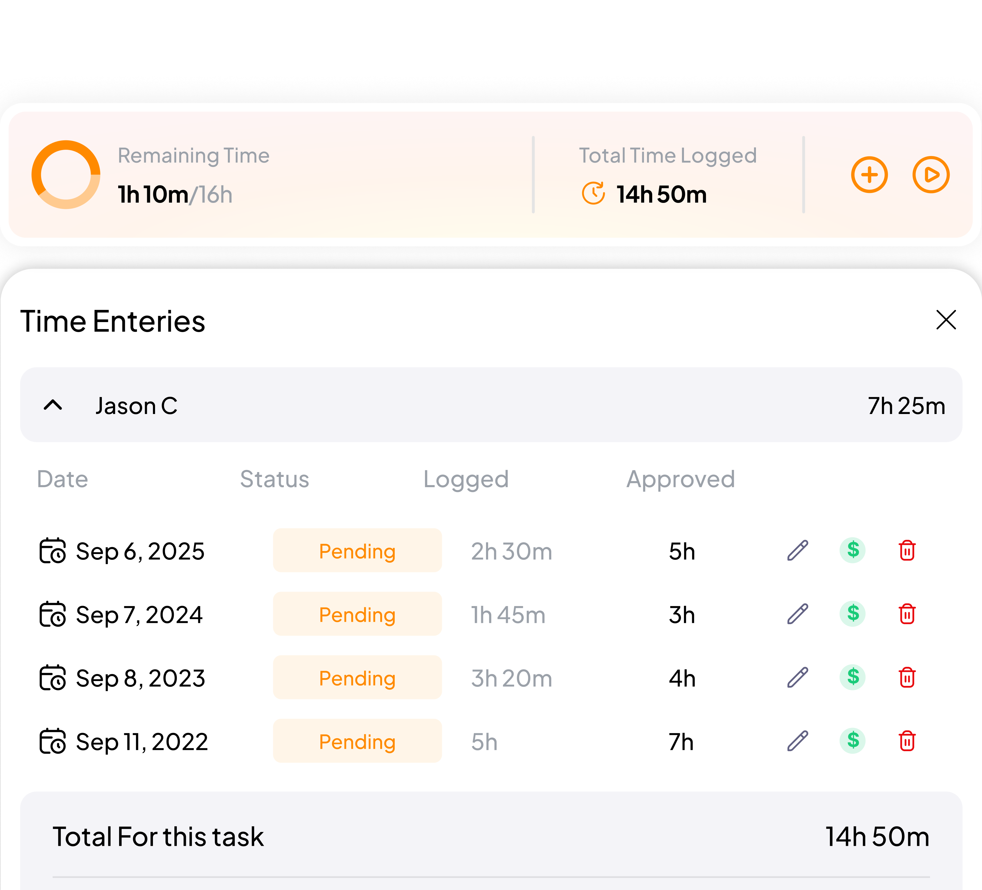Time Entry in 5day.io