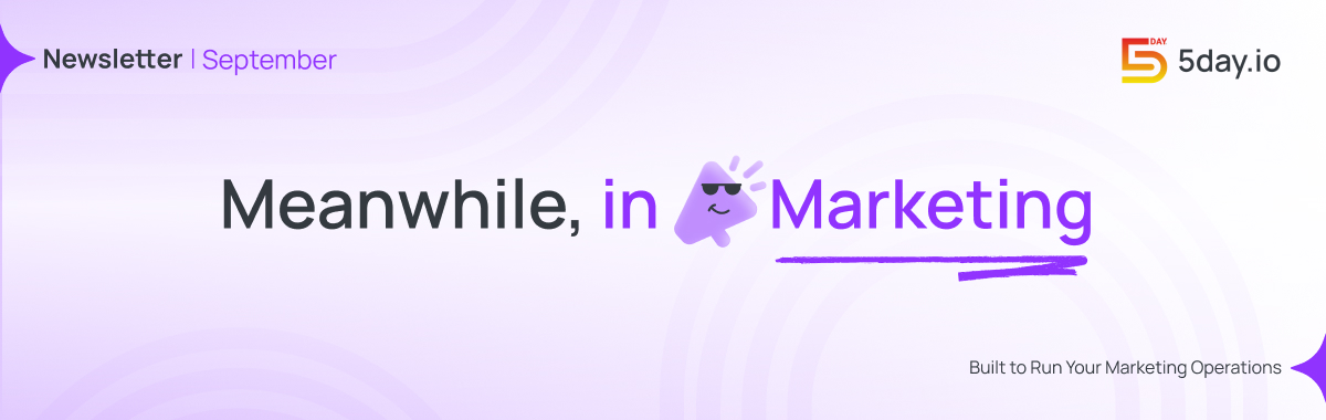 Meanwhile, in marketing | Newsletter September | 5day.io